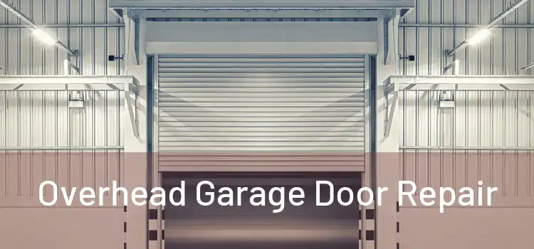  Overhead Garage Door Repair 